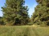 Hwy 25 N photo